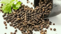 Giá tiêu hôm nay 19/6/2025: Thị trường ít biến động