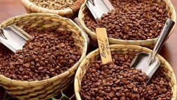 Giá cà phê hôm nay 6/5/2025: Arabica tăng nhẹ