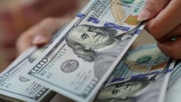 Tỷ giá USD hôm nay 11/6/2025: Tiếp tục tăng nhẹ