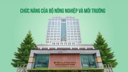 Các lĩnh vực quản lý và cơ cấu tổ chức của Bộ Nông nghiệp và Môi trường