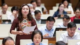 Dạy thêm, học thêm: Cấm ép buộc nhưng cần nhìn từ thực tiễn