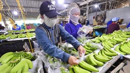 Nông sản giữ vai trụ cột xuất khẩu trong 4 tháng đầu năm