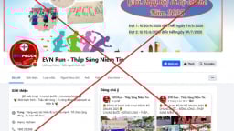 'EVN Run - Thắp Sáng Niềm Tin' giả mạo thương hiệu, logo EVN và EVNPECC4