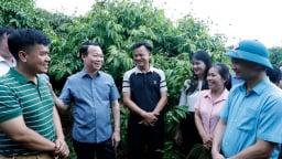 Bộ trưởng Đỗ Đức Duy gợi mở giải pháp xuất khẩu vải thiều Bắc Giang