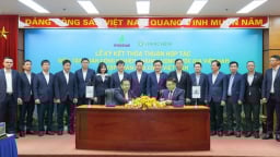 Petrovietnam tiên phong thúc đẩy hợp tác, nâng cao năng lực cạnh tranh quốc gia