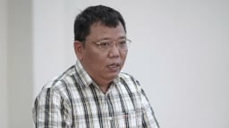 Nguy cơ từ chất nhuộm Sudan trong bột nghệ và rủi ro với hàng xuất khẩu