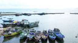 Giám sát chặt chẽ tàu cá để chống khai thác IUU