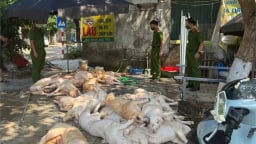 Phát hiện hơn 1 tấn thịt lợn không rõ nguồn gốc ở Vĩnh Phúc