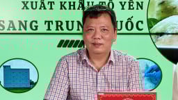 Nông sản Việt: Đa kênh thị trường, một chuẩn minh bạch