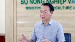 Bộ trưởng Đỗ Đức Duy chủ trì hội nghị phát triển sầu riêng bền vững