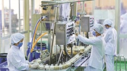 TP.HCM thích ứng biến đổi khí hậu: [Bài cuối] Hình thành 'thành phố xanh'