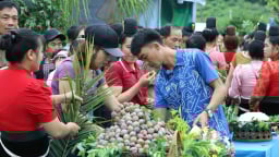 Phiêng Khoài rộn ràng ngày hội hái mận lần thứ nhất