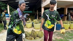 Trung Quốc tăng nhập khẩu sầu riêng 3 tháng liên tiếp