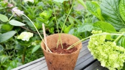 Gieo mầm hạnh phúc, chắp cánh cho ước mơ xanh của mỗi trái tim trẻ thơ