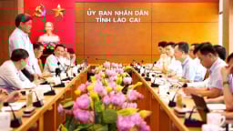 Lào Cai kiến nghị cơ chế mạnh, xử lý tận gốc vi phạm buôn lậu