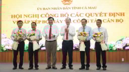 Cà Mau có gần 220 cán bộ nghỉ việc, nghỉ hưu trước tuổi