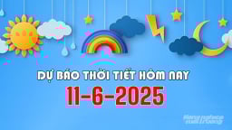 Dự báo thời tiết hôm nay 11/6/2025: Mưa lớn ở Trung Bộ, Tây Nguyên, Nam Bộ