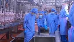 Kiểm tra an toàn thực phẩm tại CPV Food Bình Phước