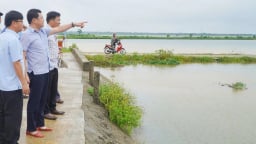 Khẩn trương tiêu úng cứu lúa hè thu