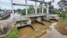 Long An: Đảm bảo an toàn công trình đê điều, thủy lợi mùa mưa bão