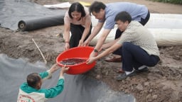 Trung tâm Khuyến nông Quốc gia tặng giống mới cho nông dân Hải Dương