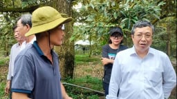 Tiền Giang chủ động kiểm soát chất lượng sầu riêng xuất khẩu