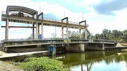 Bến Tre: Đảm bảo an toàn công trình thủy lợi trong mùa mưa bão