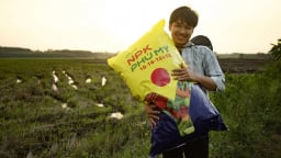 PVFCCo - Phú Mỹ và bước chuyển mình trong kinh doanh