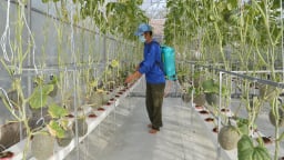 Bến Tre: Thực hiện có hiệu quả các mục tiêu phát triển bền vững