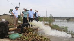 TP Huế được hỗ trợ 160 tấn lúa giống khắc phục mưa lũ trái mùa