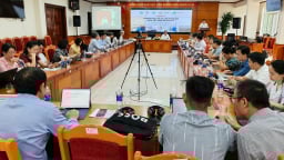 Doanh nghiệp gỗ có thể chịu thuế kép từ Hoa Kỳ cuối 2025