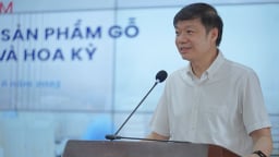 Ngành gỗ cần minh bạch thông tin để tránh rủi ro và mở rộng thị trường