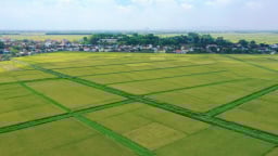 Thuế đất nông nghiệp được miễn thêm 5 năm, kéo dài tới hết 2030