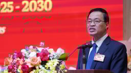 'Chảy máu chất xám': Thách thức lớn với tổ chức Đảng ngành lâm nghiệp