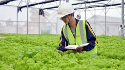 Doanh nghiệp nông nghiệp chỉ bị kiểm tra định kỳ không quá 1 lần mỗi năm