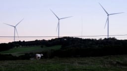 EU dự kiến đưa tín chỉ carbon vào mục tiêu khí hậu đến năm 2040