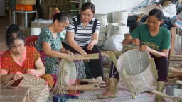 Hợp tác xã tạo thu nhập cho hơn 500 người, sở hữu 3 sản phẩm OCOP