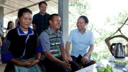 Đến Hạnh Phúc để thấy hạnh phúc