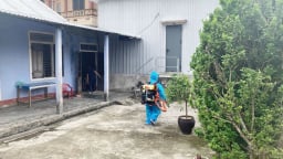 Nhiều người ở TP Huế mắc liên cầu lợn, một trường hợp tử vong