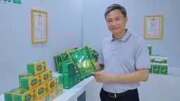 Dược liệu Pù Mát khát khao chinh phục tầng cao