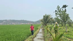 Hiện đại hóa hệ thống thủy lợi ở Hải Phòng: [Bài 2] Những tuyến mương kêu cứu