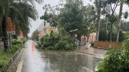 Bắc Ninh chủ động ứng phó với bão