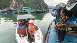 Hải Phòng tổng lực ứng phó bão WIPHA, bảo vệ sản xuất