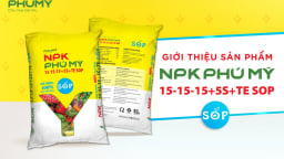 Phú Mỹ ra mắt sản phẩm mới NPK PHÚ MỸ 15-15-15+5S+TE SOP