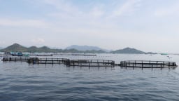 Thúc đẩy phát triển kinh tế biển thông qua đổi mới sáng tạo