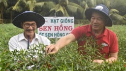 Chuyện doanh nhân Cao Đình Tuấn - Giống tốt từ trái tim người lính