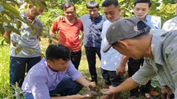 Giữ đất sạch, vững mùa vàng