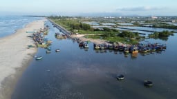 Biển vàng, niềm tin xanh: [Bài 1] Trăn trở của những lão ngư vùng duyên hải