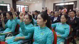 Tổng Công ty Cao su Đồng Nai: Mục tiêu doanh nghiệp bền vững hàng đầu