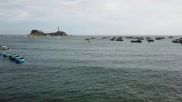Biển vàng, niềm tin xanh: [Bài cuối] Đồng quản lý là quyền của ngư dân